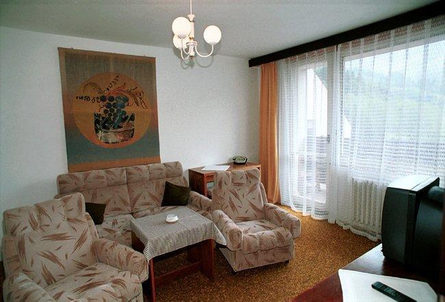 Hotel Petr Bezruc Frydlant nad Ostravici Room photo