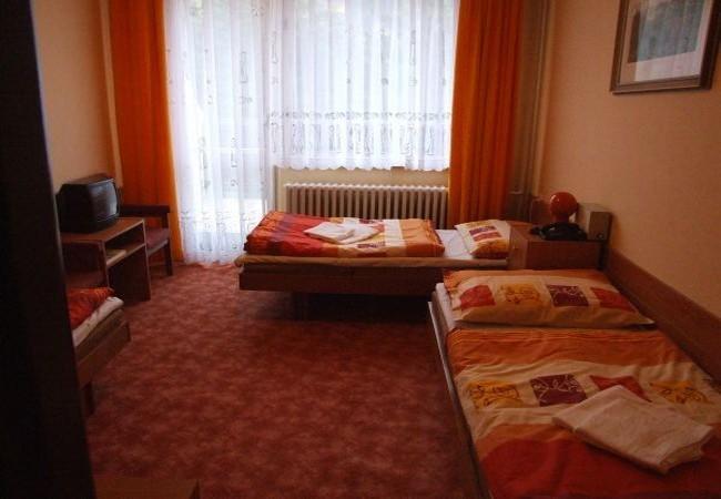 Hotel Petr Bezruc Frydlant nad Ostravici Room photo